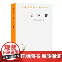 论三位一体(汉译名著本)[古罗马]奥古斯丁 著 周伟驰 译 商务印书馆