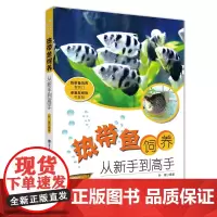 [店]热带鱼饲养 从新手到高手热带鱼饲养技巧 水族箱过滤器材维护 水族箱造景技术书 如何选择观赏鱼 热带鱼养殖图书籍