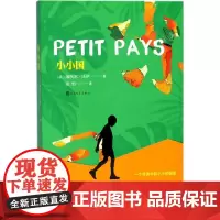 小小国 (法)加埃尔·法伊(Gael Faye) 著;张怡 译 著作 儿童文学文学 正版图书籍 人民文学出版社