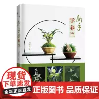 [店]新手学养兰 养兰一本通 兰花病虫害诊治实用手册 兰花病虫害防治书 新手兰花栽培技术书 兰花书籍 黑斑病 炭疽病