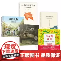 全5册精装生命绘本生命的故事獾的礼物当鸭子遇见死神有生之年一片叶子落下来适合3岁以上正版童书