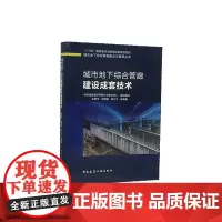 城市地下综合管廊建设成套技术/城市地下综合管廊建设与管理丛书