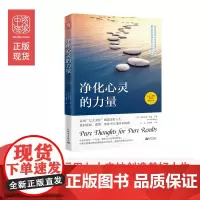 中资海派 净化心灵的力量 摆脱混乱思维获得工作金钱健康和人际关系成功励志心灵与修书籍