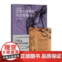 艺用人体解剖完全指南手绘版+伯里曼人体结构全书2册理解人体形态人体骨骼肌肉解剖实用人体素描速写人物基础技法教程人体速写临