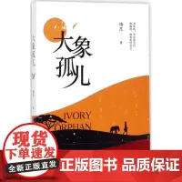 大象孤儿 诗凡 著 中国现当代文学 文学 四川文艺出版社 全新正版图图书籍类关于有关方面的地和与跟学习了解知识