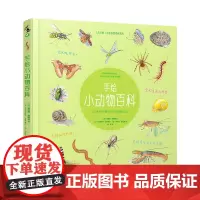 手绘小动物百科 200种生活中常见小动物趣味知识 未读出品童书绘本提高审美独立思考儿童睡前故事益智7-9-11-14岁书