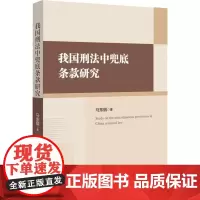 我国刑法中兜底条款研究 马东丽 著 法律知识读物社科 正版图书籍 中国政法大学出版社