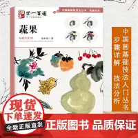 蔬果 写意花鸟中国画基础技法丛书伍小东 枇杷石榴西瓜茄子国画入门基础步骤教程 写意蔬果册页临摹 初学少儿童自学画花蔬果教