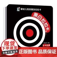 婴幼儿视觉激发拉拉卡(套装全4册)