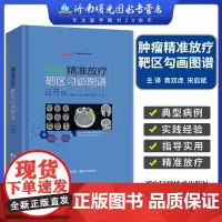 肿瘤精准放疗靶区勾画图谱袁双虎放疗内科肿瘤医生实用书籍靶区勾画基本概念原理意义方法精准放疗技术肿瘤精准放疗原则描述示例