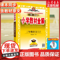 2024秋小学教材全解三年级上册 语文3年级人教RJ版同步练习册测试题课本解析课文讲解参考资料七彩课堂总复习详解训练解读