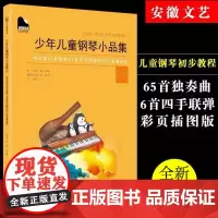 儿童钢琴书 少年儿童钢琴小品集(二)儿歌钢琴曲钢琴谱大全弹儿歌学钢琴 儿童钢琴初步教程钢琴儿童初学者入门 幼儿钢琴入门教