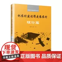 把农村建设得更像农村:理论篇 孙君 徐宁 著 各部门经济专业科技 正版图书籍 江苏凤凰文艺出版社