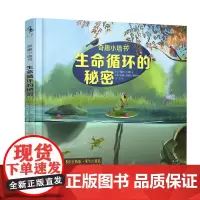 奇趣小墙书:生命循环的秘密 可以撕、可以贴、可以show的奇趣小墙书,爸妈一教就会未读出品