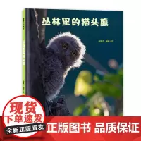 丛林里的猫头鹰——精装 4岁以上 摄影科普鸟类故事 记录猫头鹰一家的真实生活场景鸟类 认知自然 蒲蒲兰绘本馆店
