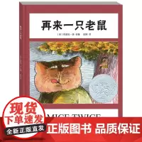 再来一只老鼠(绘本)