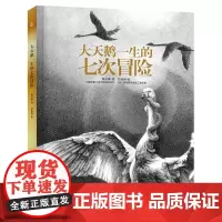 [正版书籍]大天鹅一生的七次冒险