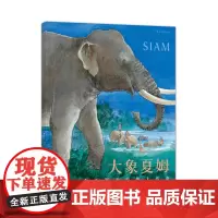 [正版书籍]大象夏姆 Siam