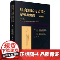 肌*测试与功能:姿势与疼痛