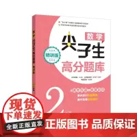 [正版书籍]数学尖子生高分题库(精讲版)(2年级)