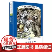 [正版书籍]美轮美奂的世界童话:绿衣骑士