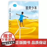 [正版书籍]驭风少年(青少版)