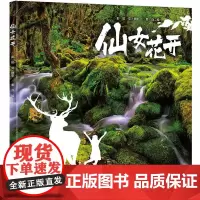 [正版书籍]仙女花开