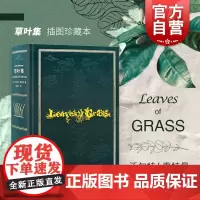 草叶集 精装插图本 沃尔特惠特曼 叛逆者 朱一龙 完美复刻1855版草叶集原版装帧 外国诗歌 美国诗歌 外国文学 上海