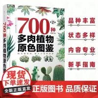 700种多肉植物原色图鉴 第二版 多肉植物图鉴 养多肉的书 多肉养殖书籍 多肉养殖教程 多肉图谱多肉图鉴 多肉书籍大全多