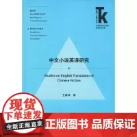 中文小说英译研究 王颖冲 著 教材文教 正版图书籍 外语教学与研究出版社