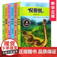 动物小说大王沈石溪获奖作品共6册 保姆蟒天命 狼王梦作者 6-10-12-15周岁儿童三四五六年级小学生课外阅读书籍正版