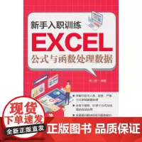 [正版书籍]新手入职训练:Excel公式与函数处理数据