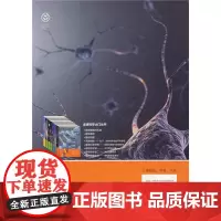 [正版书籍]饶有趣味的大脑(走进科学大门丛书)