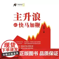 主升浪之快马加鞭