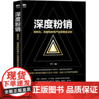 深度粉销 高转化、高复购的用户运营黄金法则 丁丁 著 广告营销经管、励志 正版图书籍 人民邮电出版社