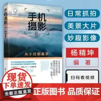 手机摄影从小白到高手 杨精坤 手机摄影入门教程 手机摄影从入门到精通技巧书籍 手机摄影拍照技巧大全摄影构图用光后期教程图