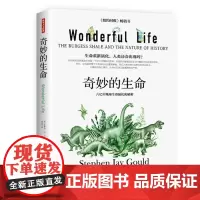 奇妙的生命(生命重新演化,人类还会出现吗?)