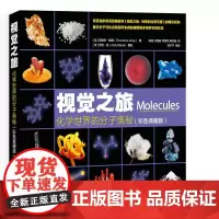 [正版书籍]视觉之旅 化学世界的分子奥秘(彩色典藏版)