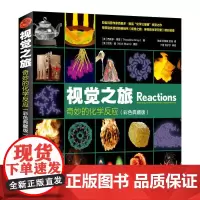 [正版书籍]视觉之旅 奇妙的化学反应 彩色典藏版