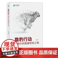 猎豹行动 硝烟中的敏捷转型之旅