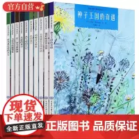 阿基米德儿童科普绘本系列(全10册) 种子王国的奇遇 达芬奇的挑战 河马是大河的主人 青少年儿童科普故事绘本图画书