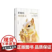 彩色铅笔绘画教程 彩铅绘 林间精灵 绘画入门书籍 色铅笔书籍 彩铅手绘入门教程 零基础学铅笔绘画 正版
