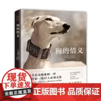 [正版书籍]狗的情义