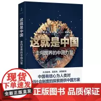 这就是中国 走向世界的中国力量 张维为 著 中国政治经管、励志 正版图书籍 上海人民出版社