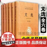 正版 文选中华书局文白对照全套6册精装简体横排原文注释译文昭明文选 中华经典名著全本全注全译萧 诗文总集古典文学书