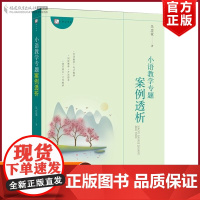 正版 小语教学专题案例透析 一线教师吴忠豪著 识字写作理论培训 语文课堂教学片段案例与教学设计指导 语文教师教育类书籍