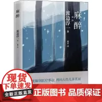 麻醉 (日)渡边淳一 著 邓青 译 外国小说文学 正版图书籍 青岛出版社