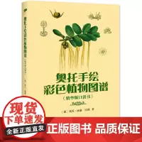 [正版书籍]奥托手绘彩色植物图谱(精华版口袋书)