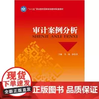 [正版书籍]审计案例分析