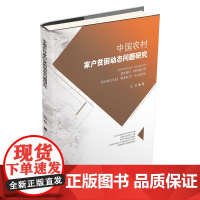 中国农村家户贫困动态问题研究 赵锐9787550439405西南财经大学出版社